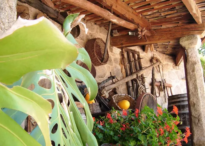 Casa Ameneiros Country house Sanxenxo